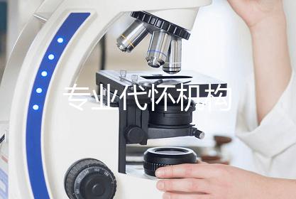 专业代怀机构