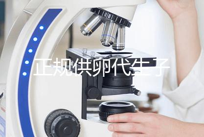 正规供卵代生子